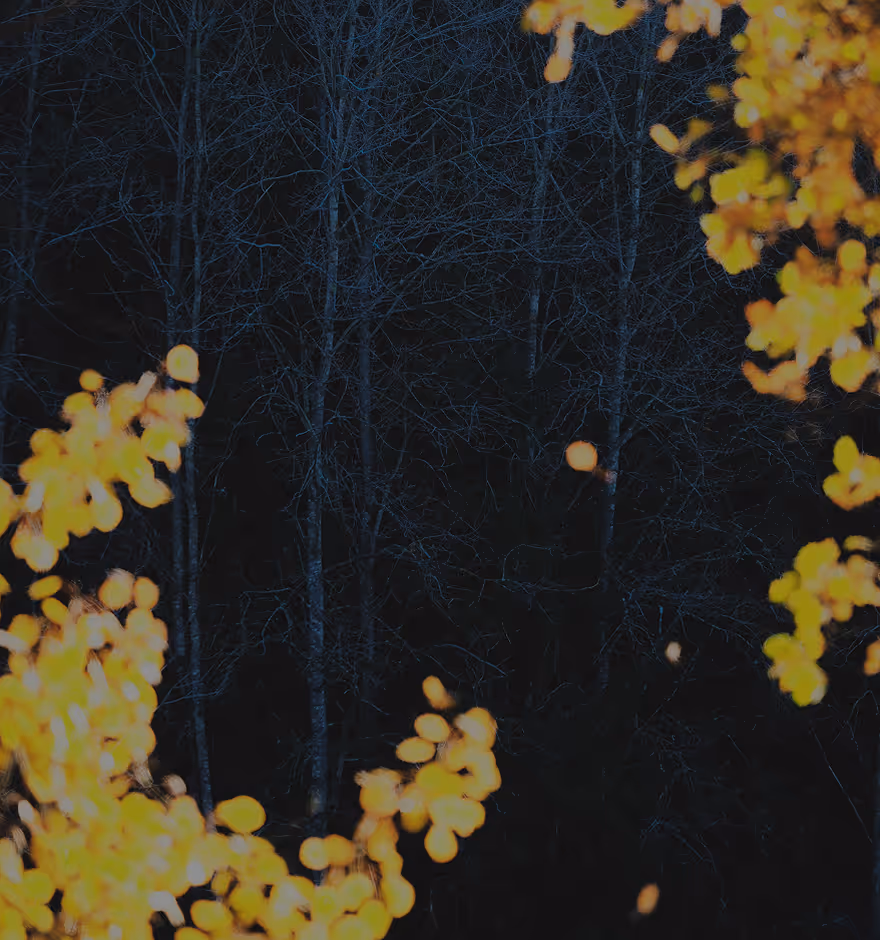 Infrared filter and film light leaks