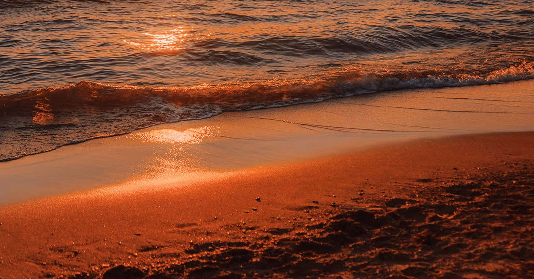 Golden hour filter on beach wave