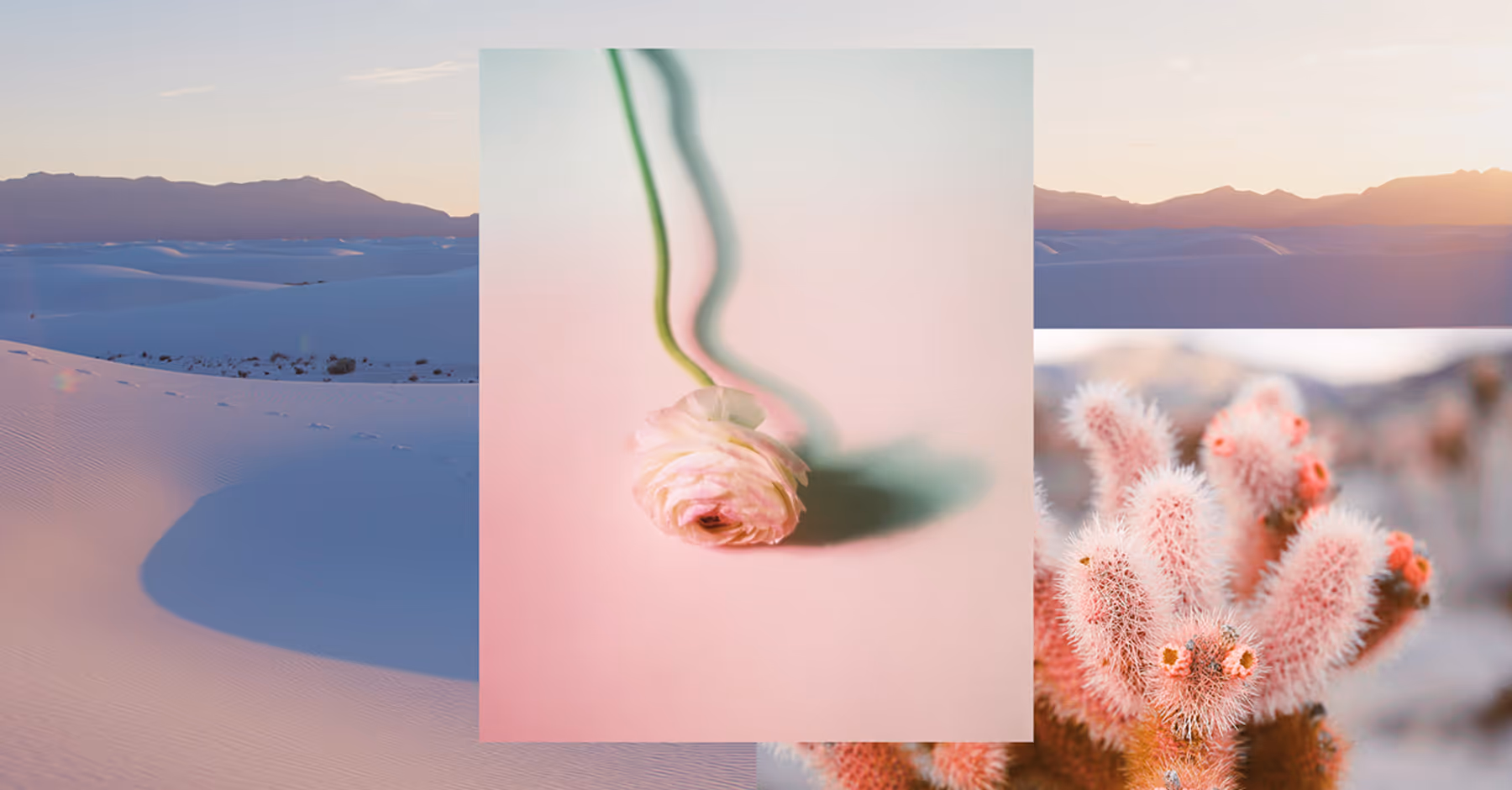 Multiple images combined into one