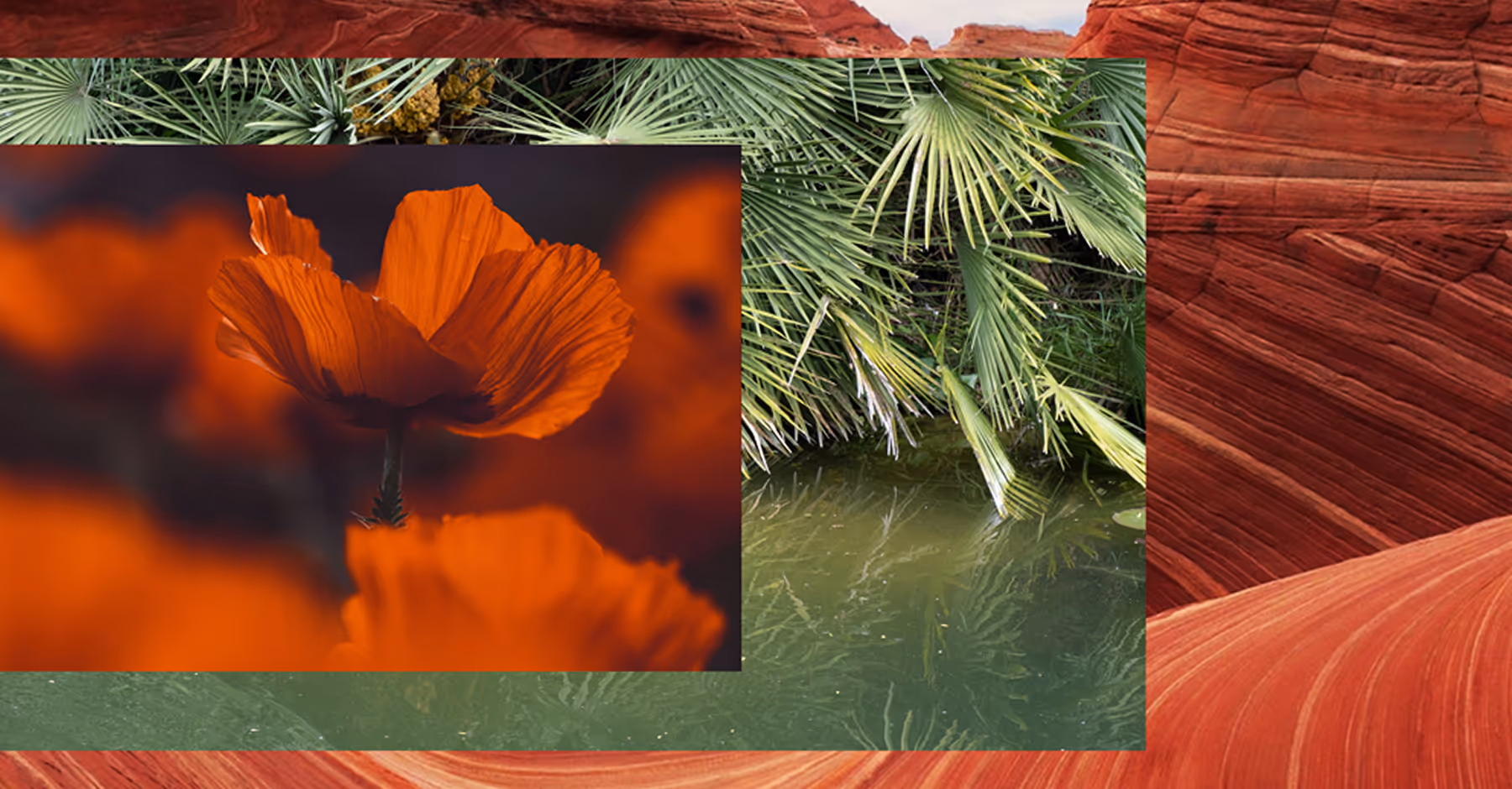 Combine images