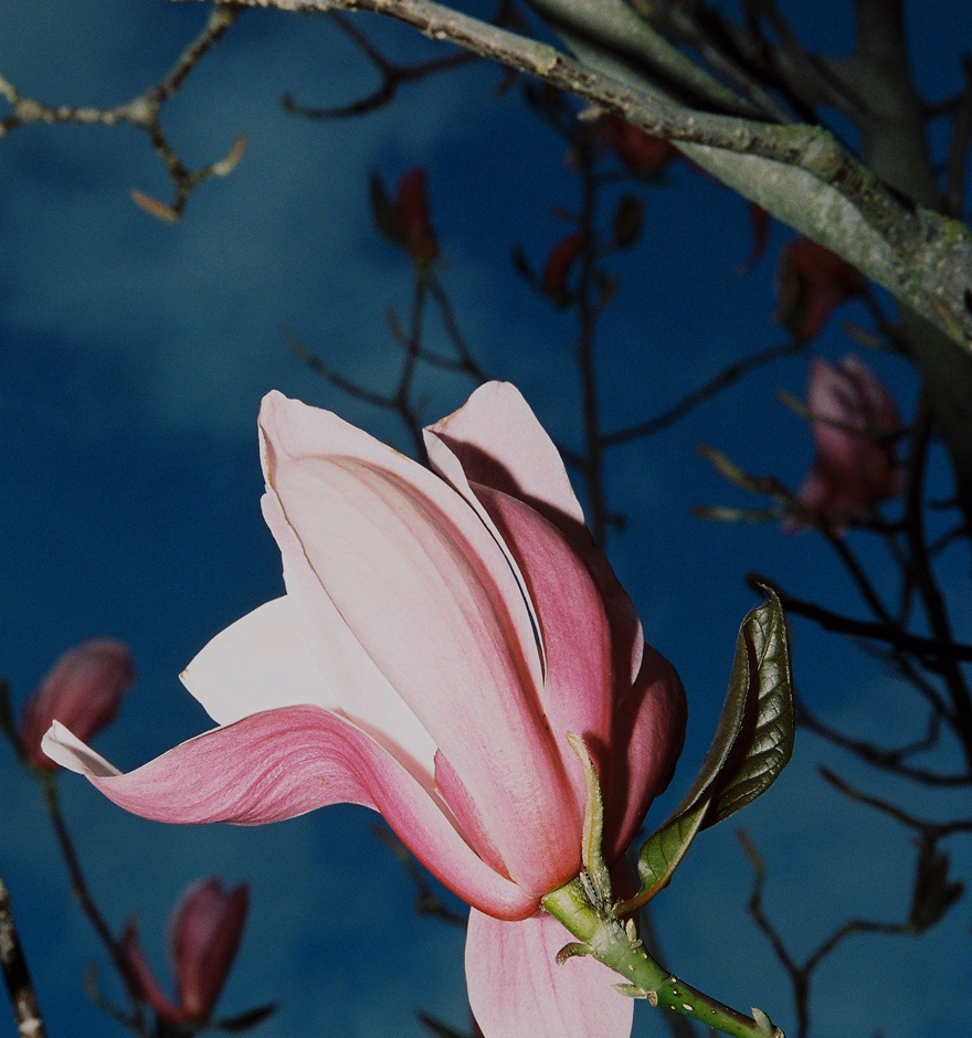 Image exposure editor