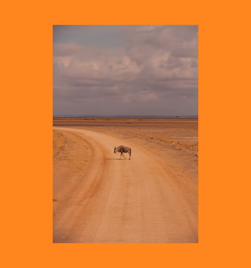Crop, rotate, skew images