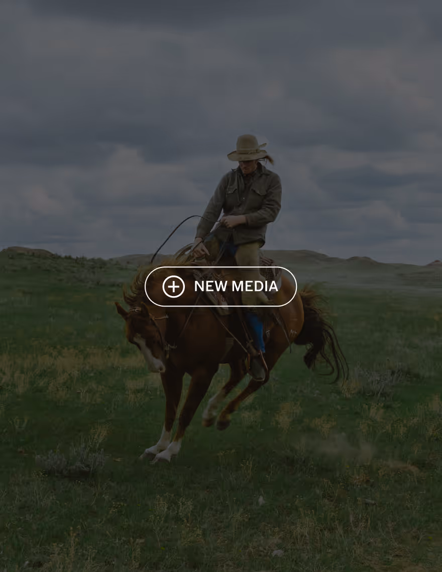 New Media button over image of man riding a bucking horse