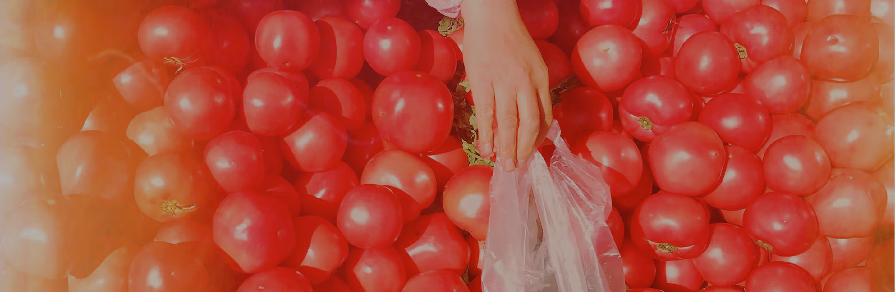 Warm light leak added to photo of hand reaching over tomatoes