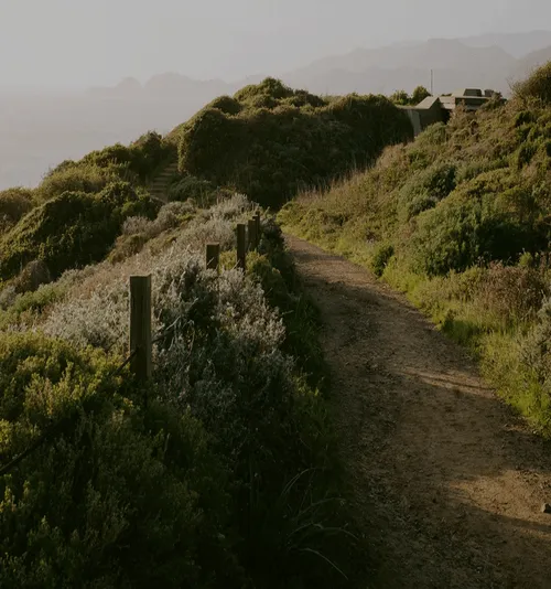 Dirt path winding through green bushes and vegetation on a hillside with hazy mountains in the background.