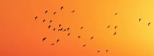 William Biscarra photography portfolio