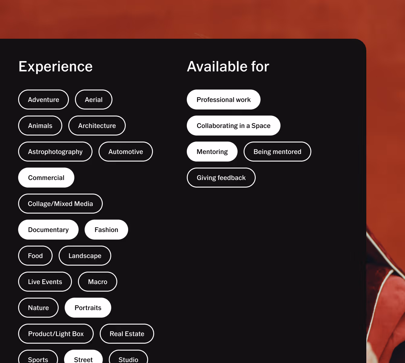 Experience and Availability tags on VSCO Profile for finding photography jobs