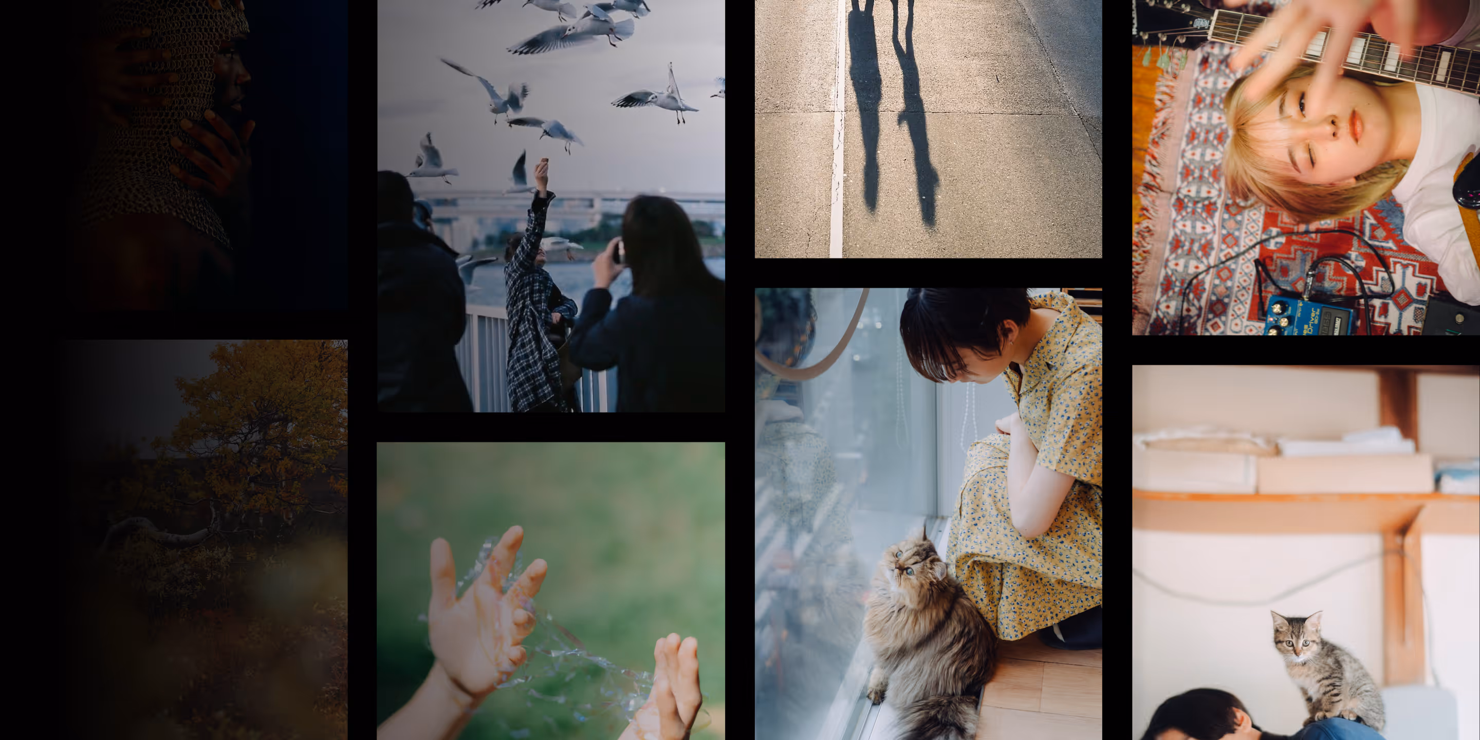 VSCO Profiles