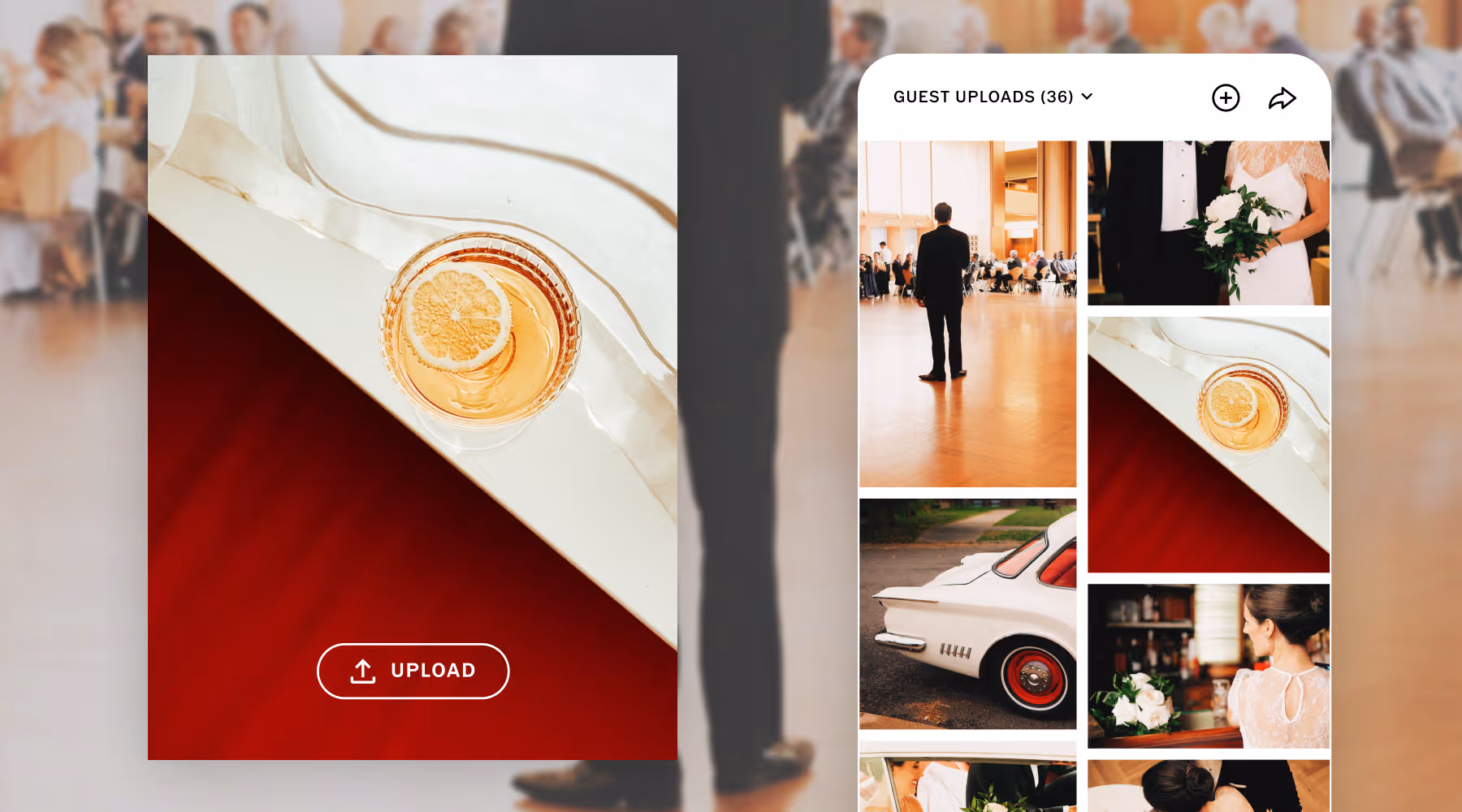 VSCO Galleries UI for using collaborative galleries with guest upload options