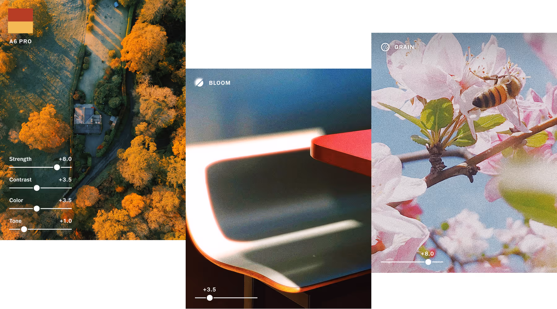 Three photos showing photo editing adjustments: preset A6 PRO on an aerial view of orange autumn trees and a house, Bloom effect on a close-up of a diner booth chair with light and shadow, and Grain on a bee on pink flowers against a blue sky.