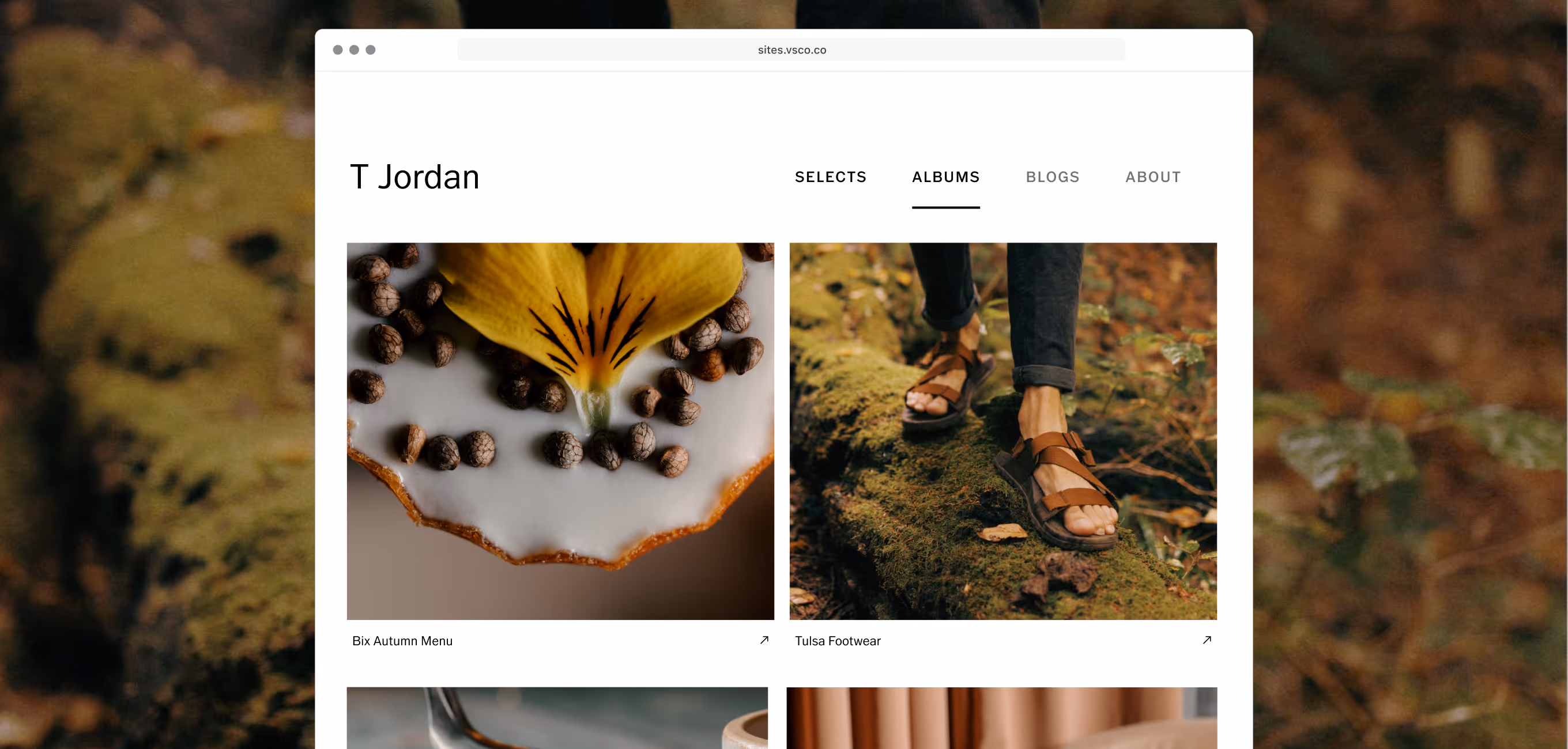 Website portfolio page titled T Jordan showing photo albums with images of a flower on a dessert and person wearing sandals walking on mossy log.