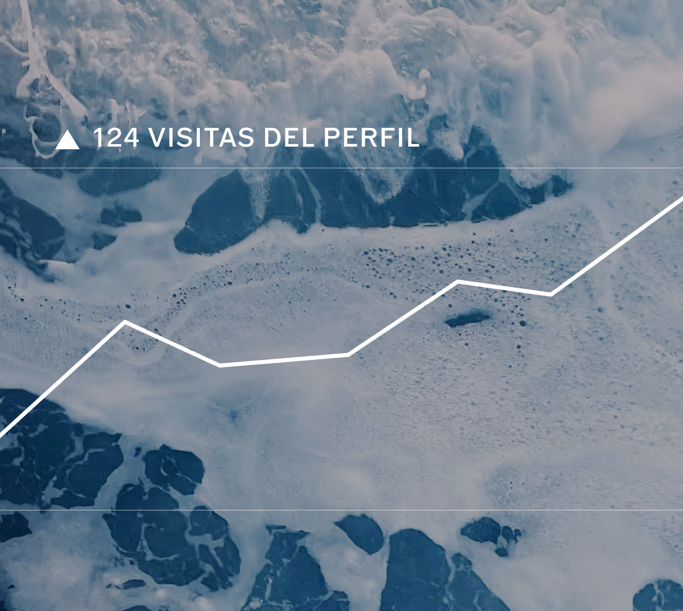 VSCO Profile views