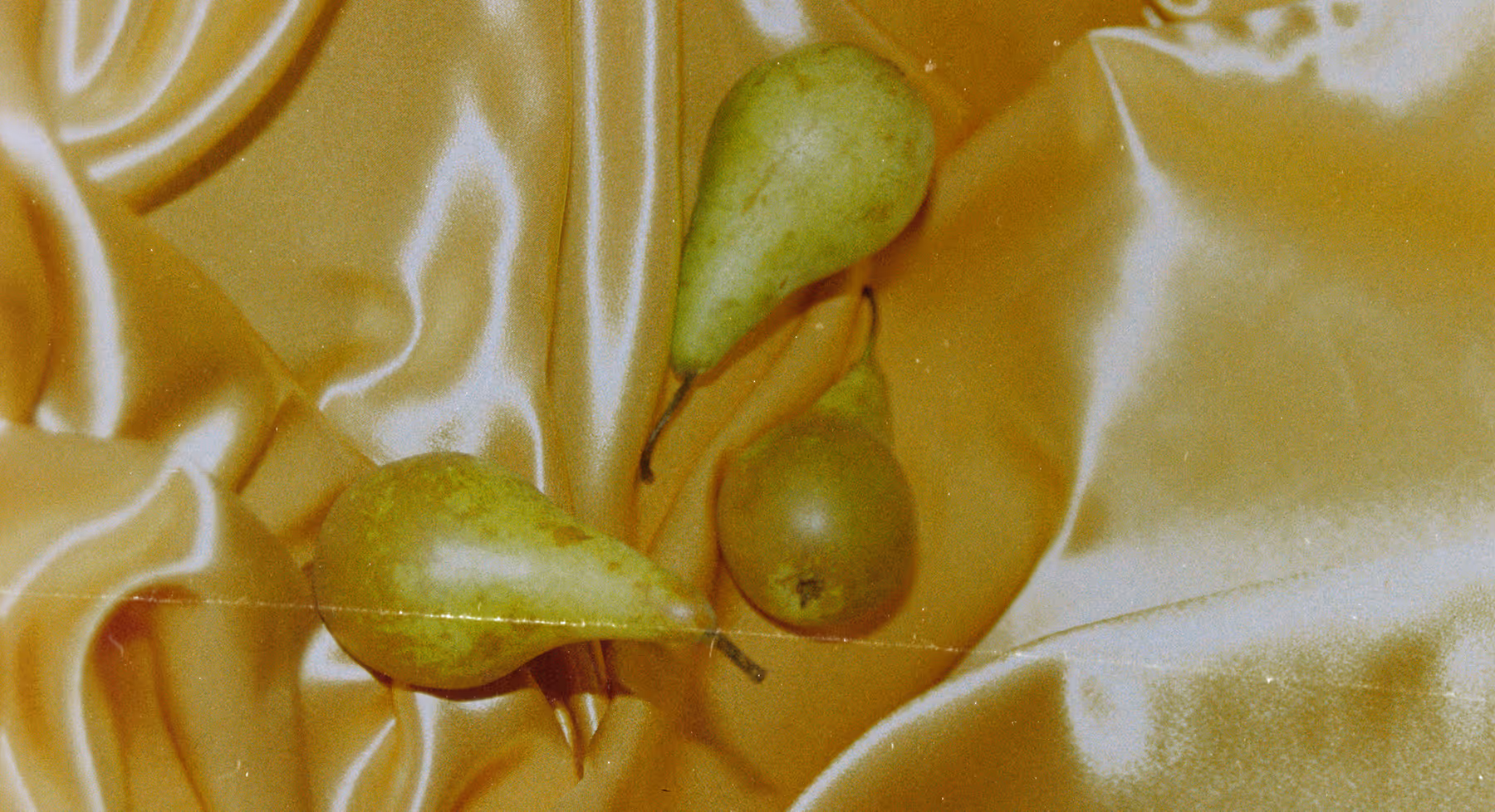Three green pears resting on golden satin fabric with a vintage scratched texture.