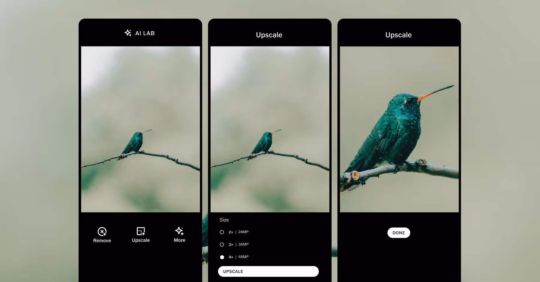 Three smartphone screens showing a hummingbird on a branch with options to remove, upscale with size selections, and a final upscaled image.