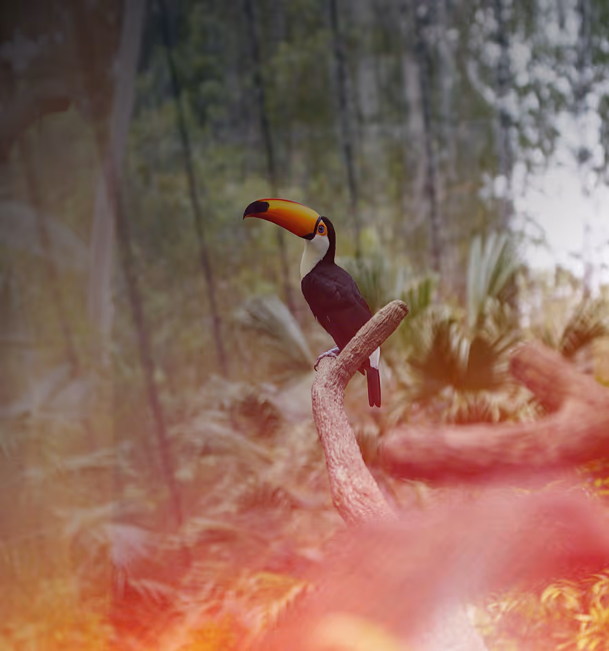 Toucan with a large yellow and orange beak perched on a curved tree branch with blurred forest foliage background and glowing red light leaks.