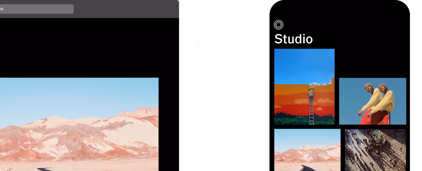 VSCO desktop and mobile photo editor