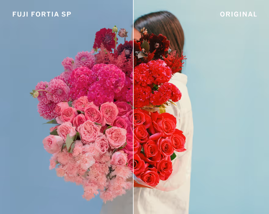 Comparação lado a lado de um buquê de flores segurado por uma pessoa, mostrando tons de rosa mais ricos à esquerda com o filtro de filme Fuji Fortia SP e tons de vermelho mais naturais à direita na foto original.