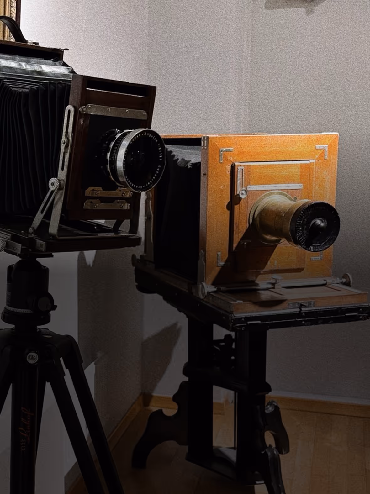 Daria Epiphanova's two vintage large format cameras with wooden bodies and bellows set up indoors on a tripod and stand.