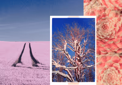Photography group for infrared photos