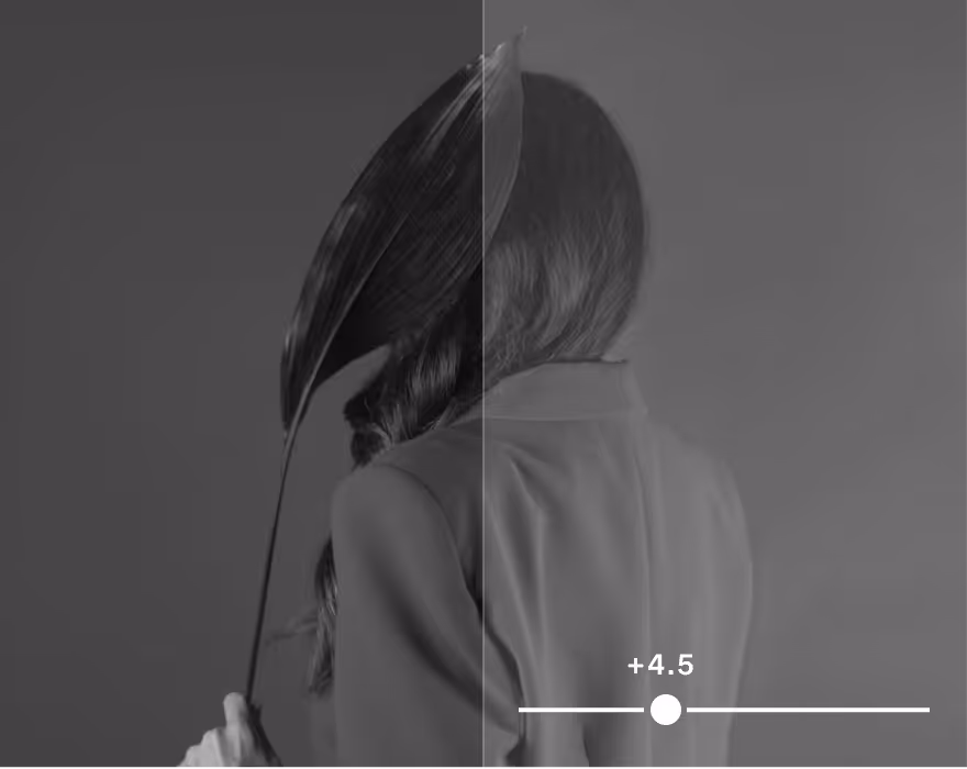 Back view of a woman holding a leaf, with a split showing darker left and lighter right sides and +4.5 exposure.