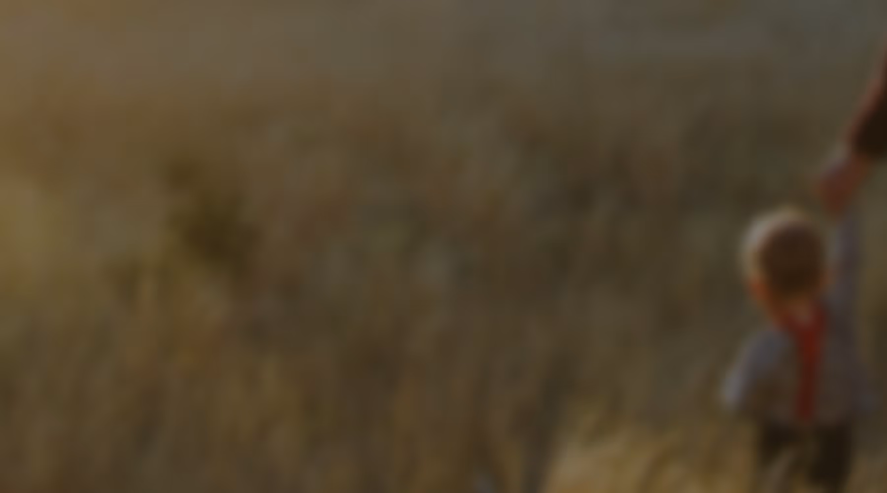 Blurry image from a professional family photoshoot of child holding adult's hand in a dry grass field during sunset.
