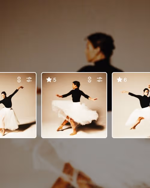VSCO Studio Pro batch editing app