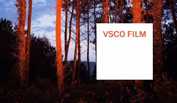 Adobe Lightroom and VSCO desktop