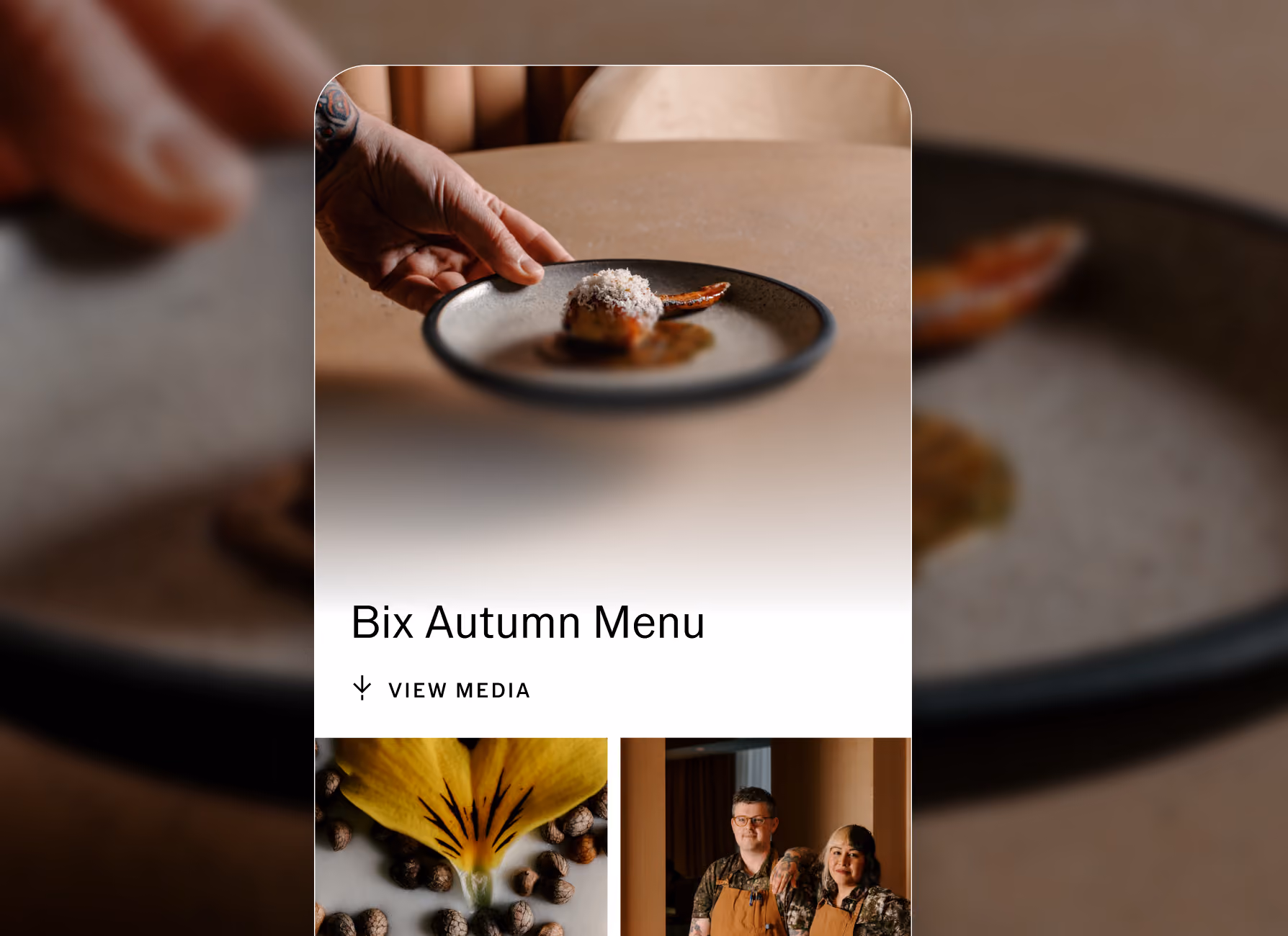 VSCO Gallery showing hand placing a gourmet dish on a plate with text 'Bix Autumn Menu' and two people in aprons below.