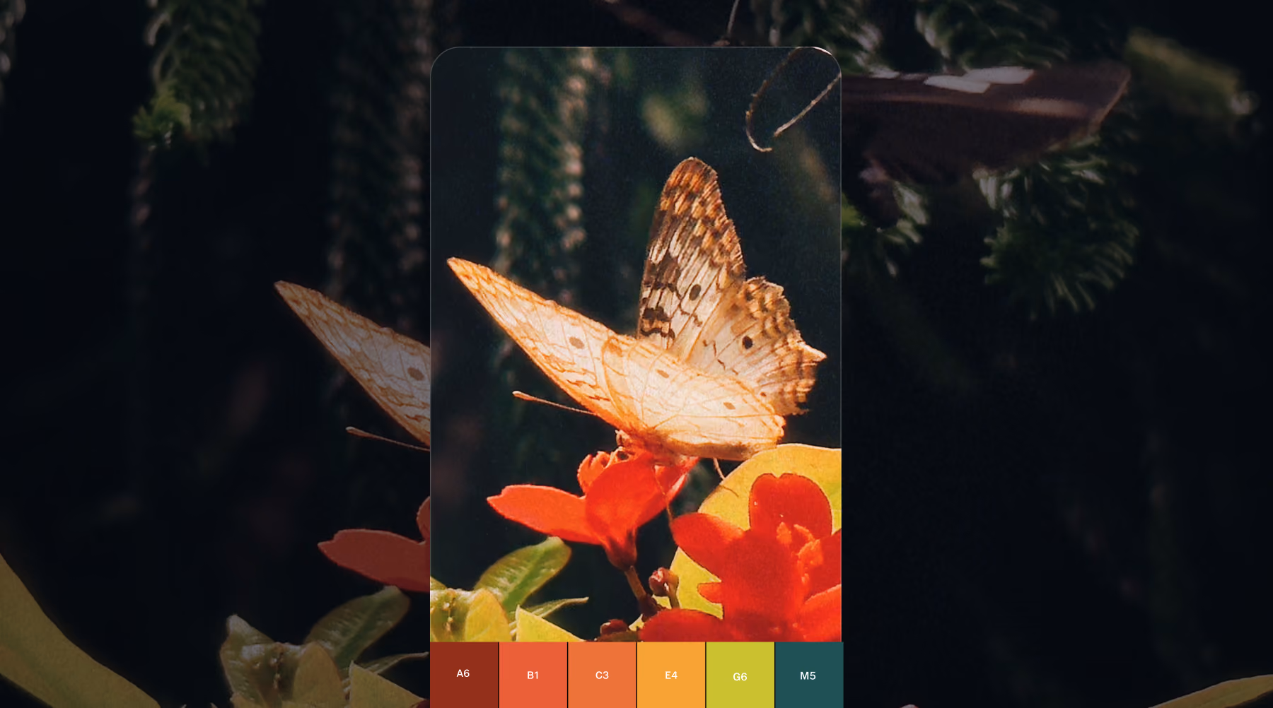 Live filters menu in the VSCO Capture camera app