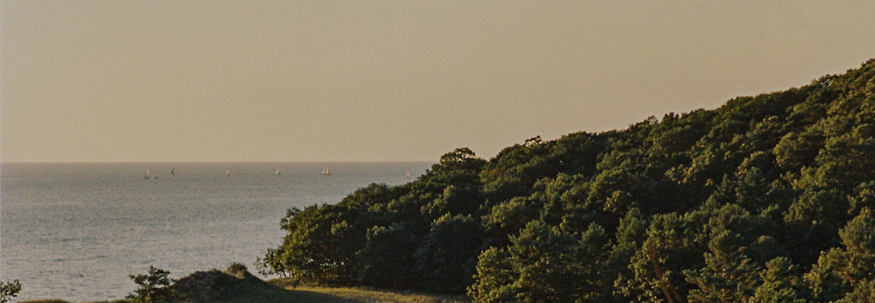 Coastal landscape with green forested hills on the right and calm ocean with distant sailboats under a clear sky at sunset.