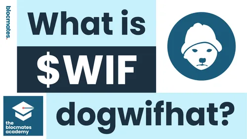 What is dogwifhat? $WIF