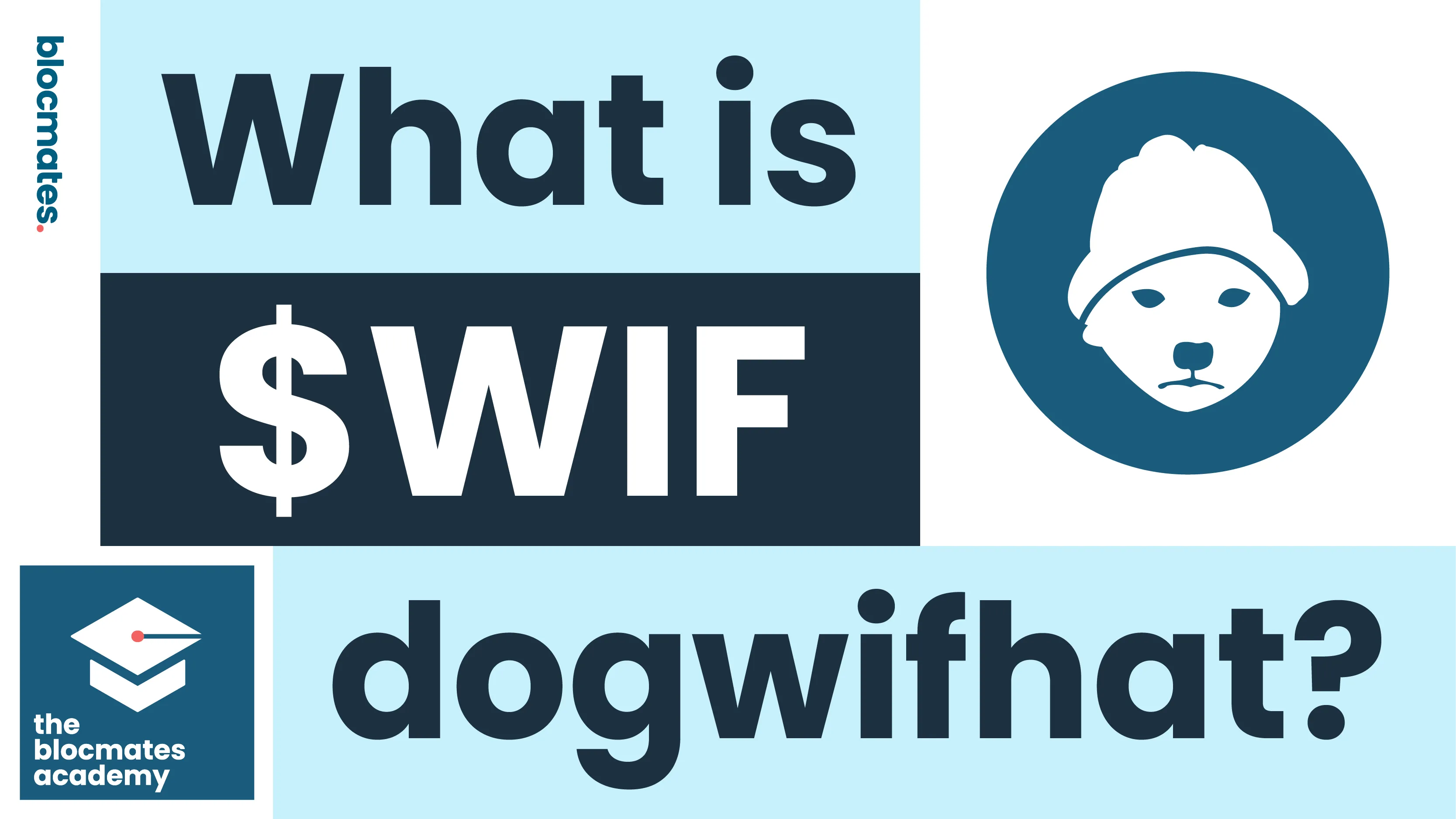 What is dogwifhat? $WIF