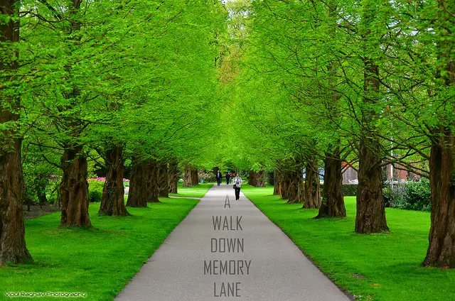 Memory Lane – Bernadette A. Sahm