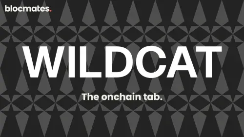 Wildcat: The Onchain Tab