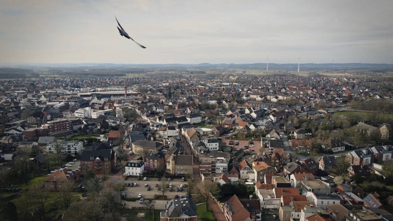 Portfolio Image