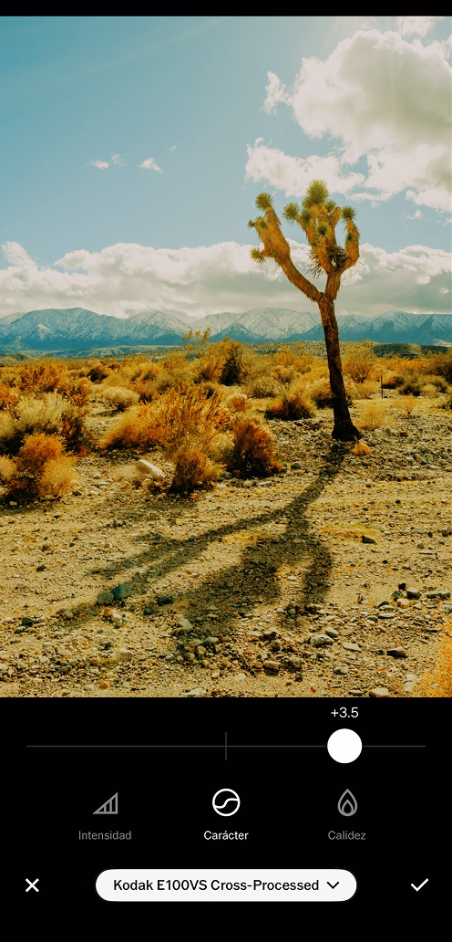Kodak E100VS filtro de película