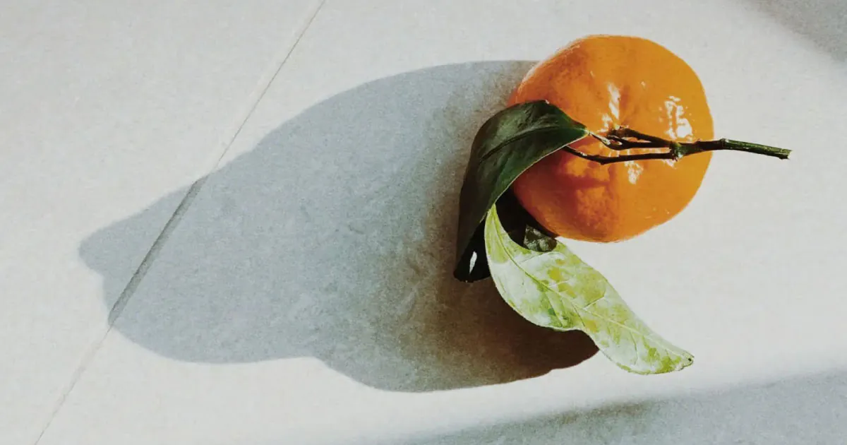Orange cut from branch with green leaves and shadow edited with VSCO app