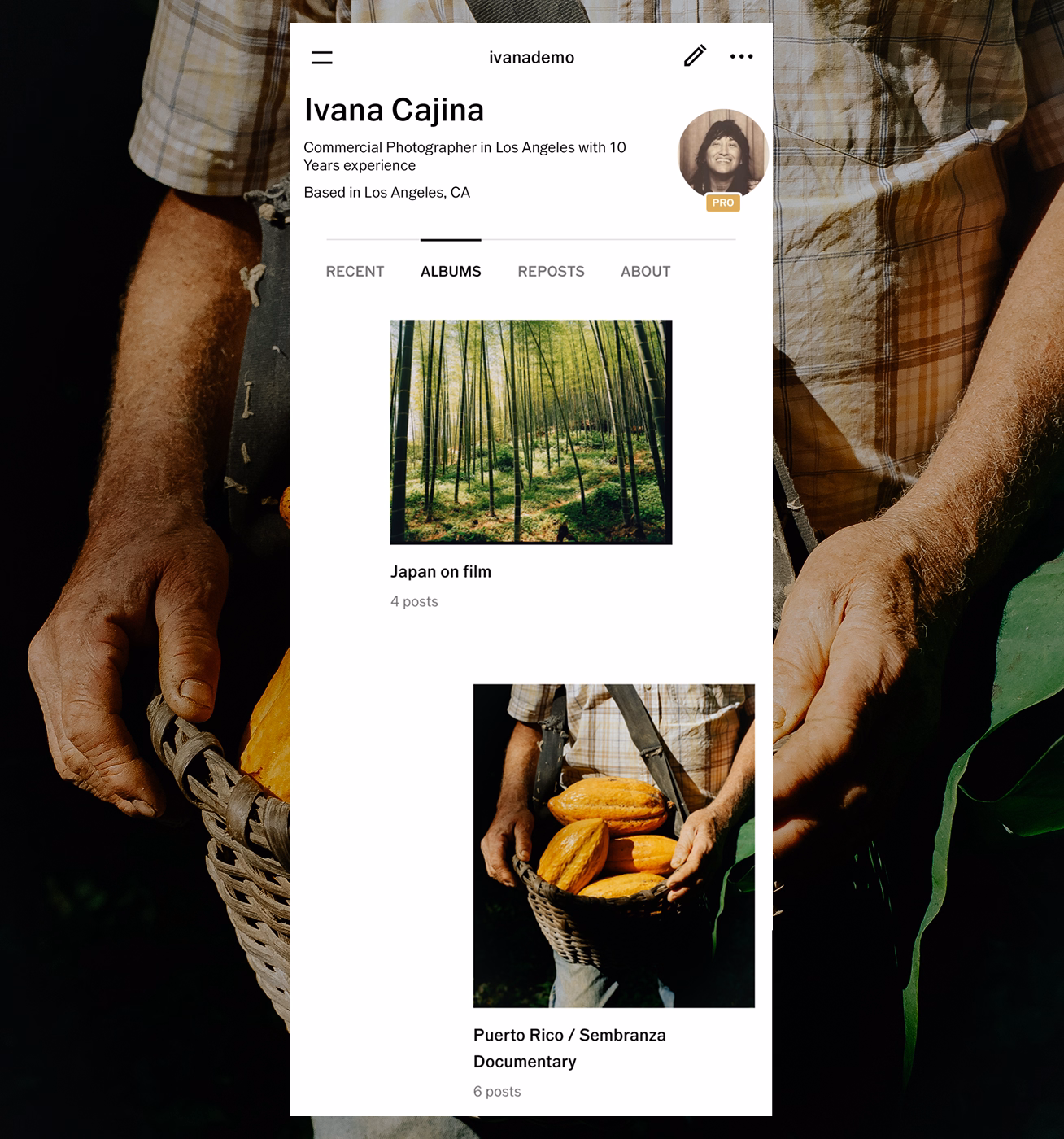 Mobile view of VSCO photo albums on photographer Ivana Cajina's profile