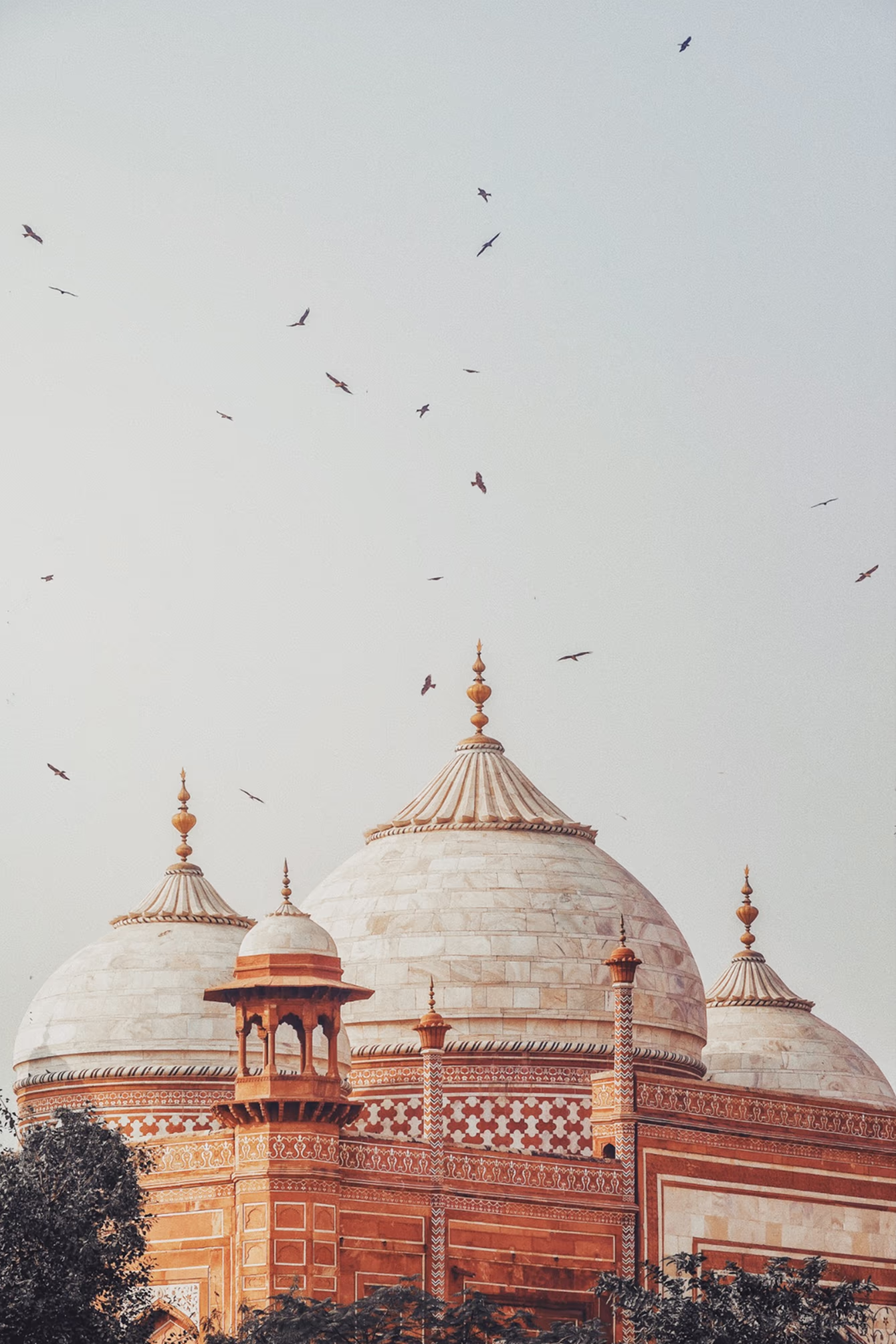 Image by photographer Arjun Yadav