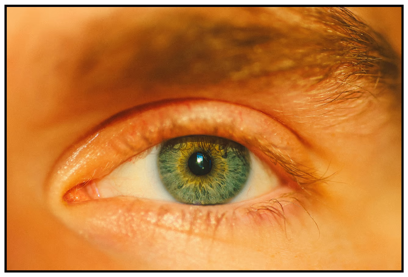 Closeup of a green blue eye by photographer Marin Kirkman