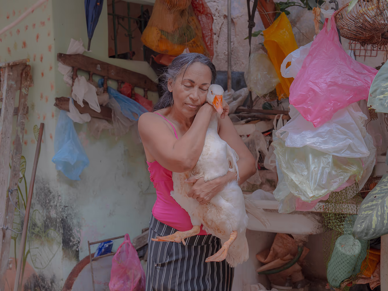 Open call submission by photographer Teresa Freitas