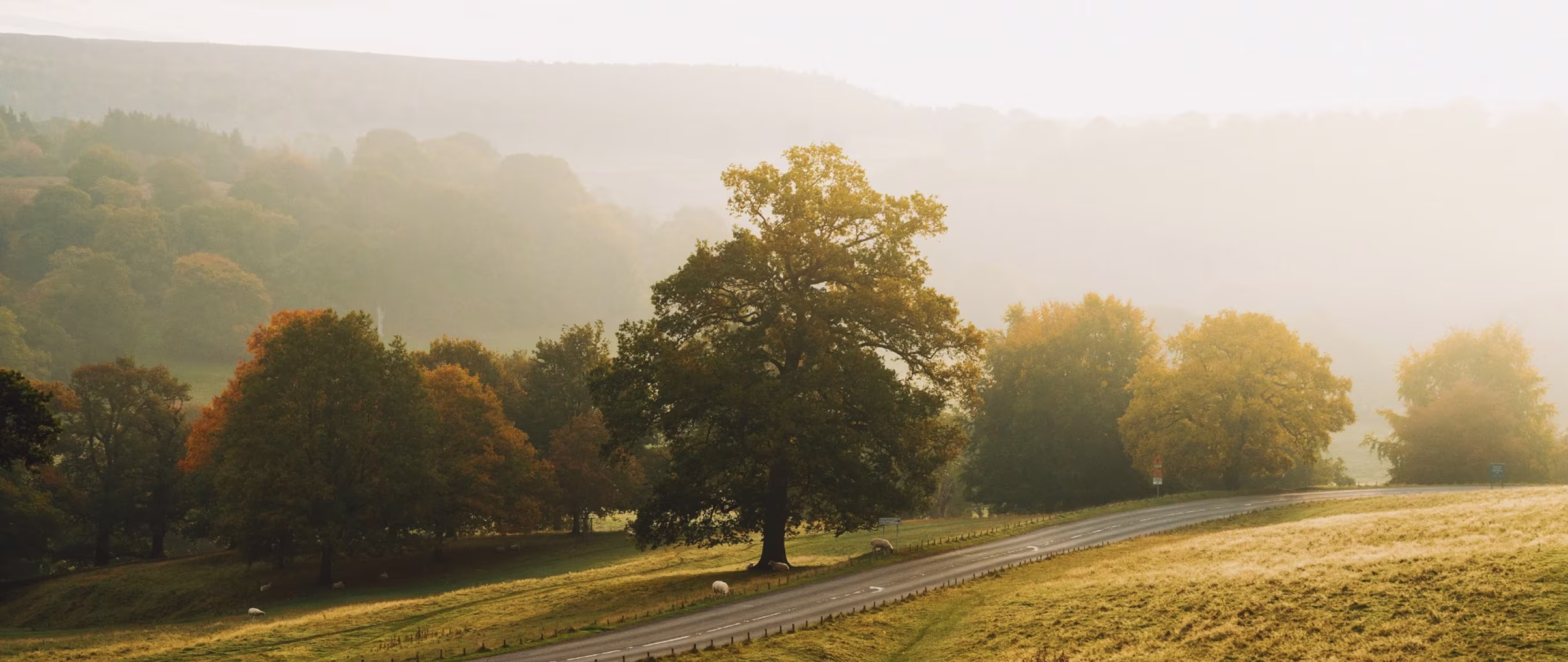 Landscape photography