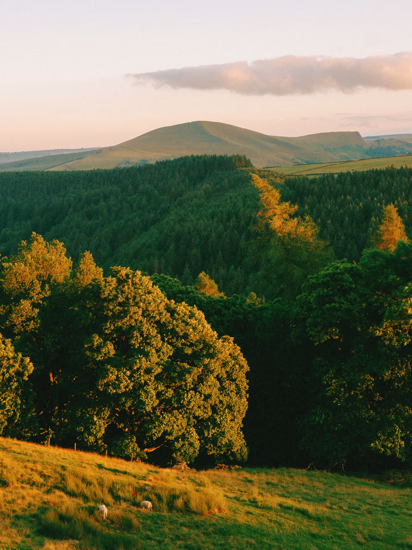 Landscape image by photographer Daniel Casson