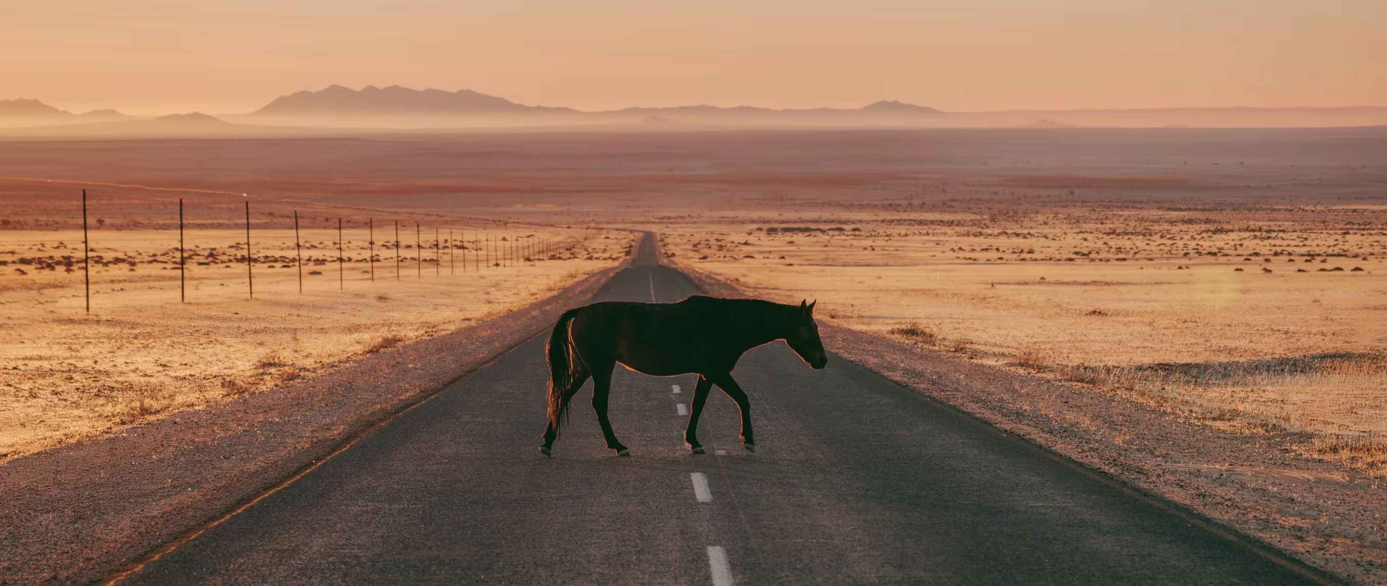 Image by photographer Emilie Hill