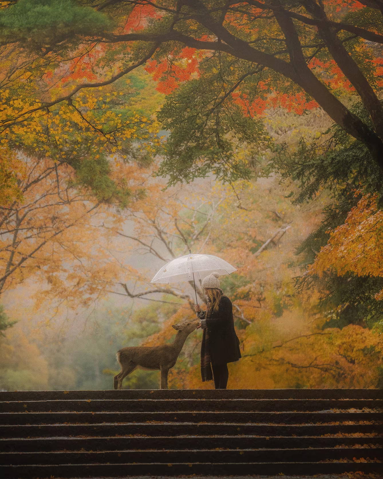 Portfolio image of a woman holding an umbrella with a deer at the top of stairs with green, orange, and yellow trees above.