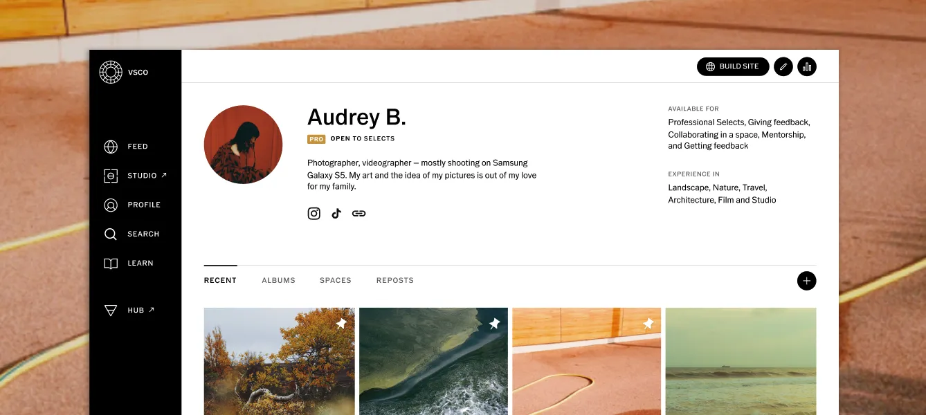 Perfil do VSCO acessado na web com um botão "Criar site"