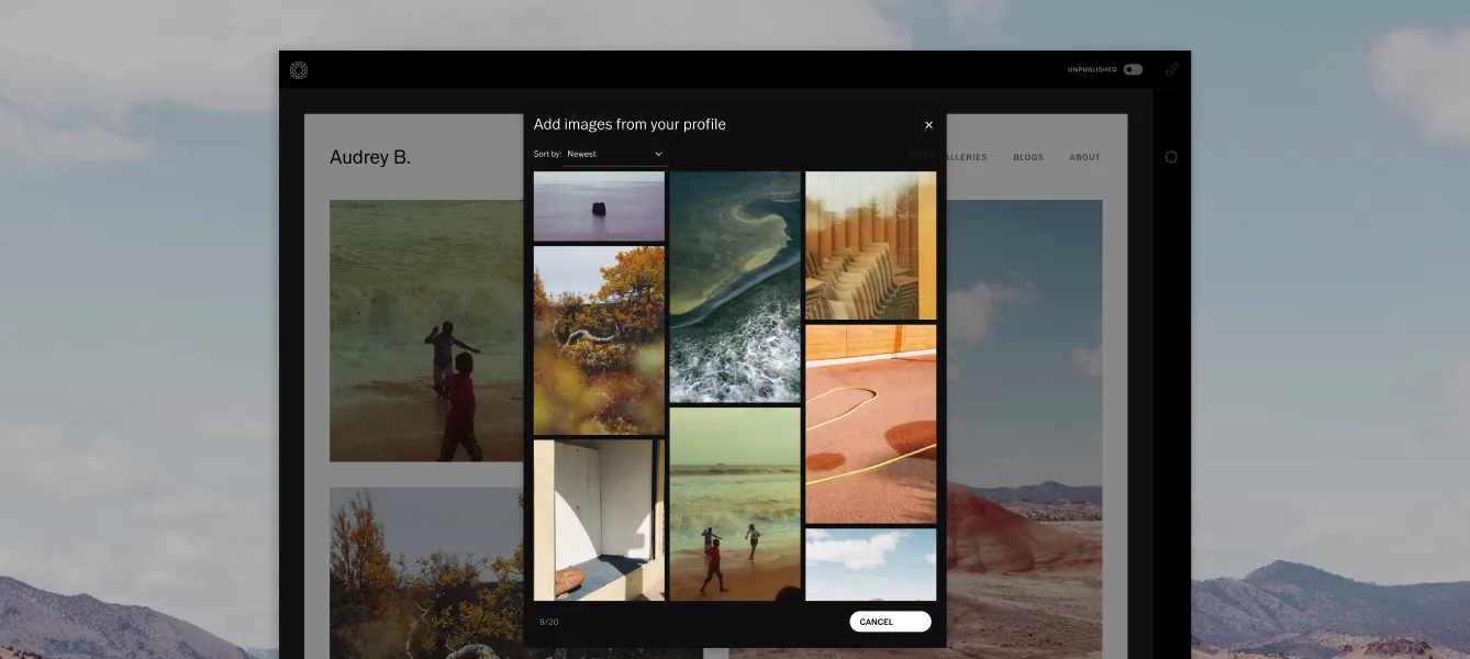 Interface do criador de sites de portfólio VSCO para 'Adicionar imagens do seu perfil' como seleções