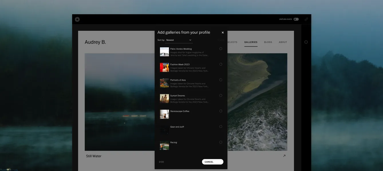 Interface do criador de sites do VSCO exibindo "Adicionar galerias do seu perfil"