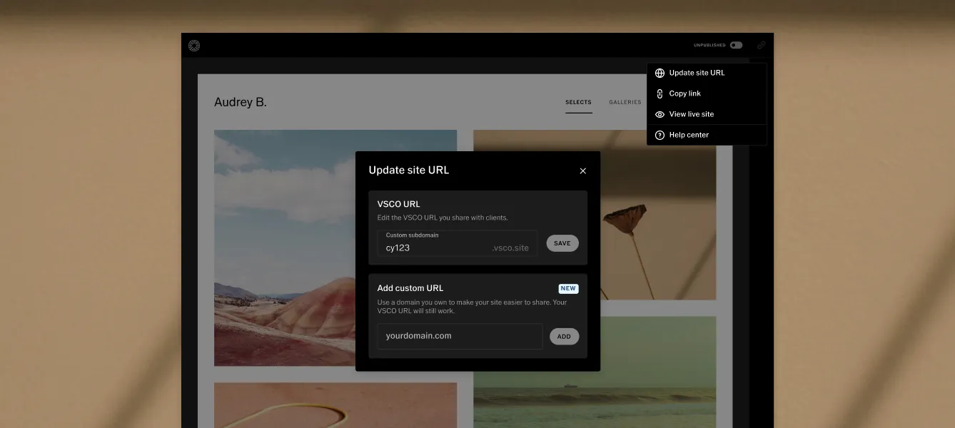 Interface do VSCO Sites para definir a URL do site. URL gratuita do VSCO ou conexão de domínio personalizado.