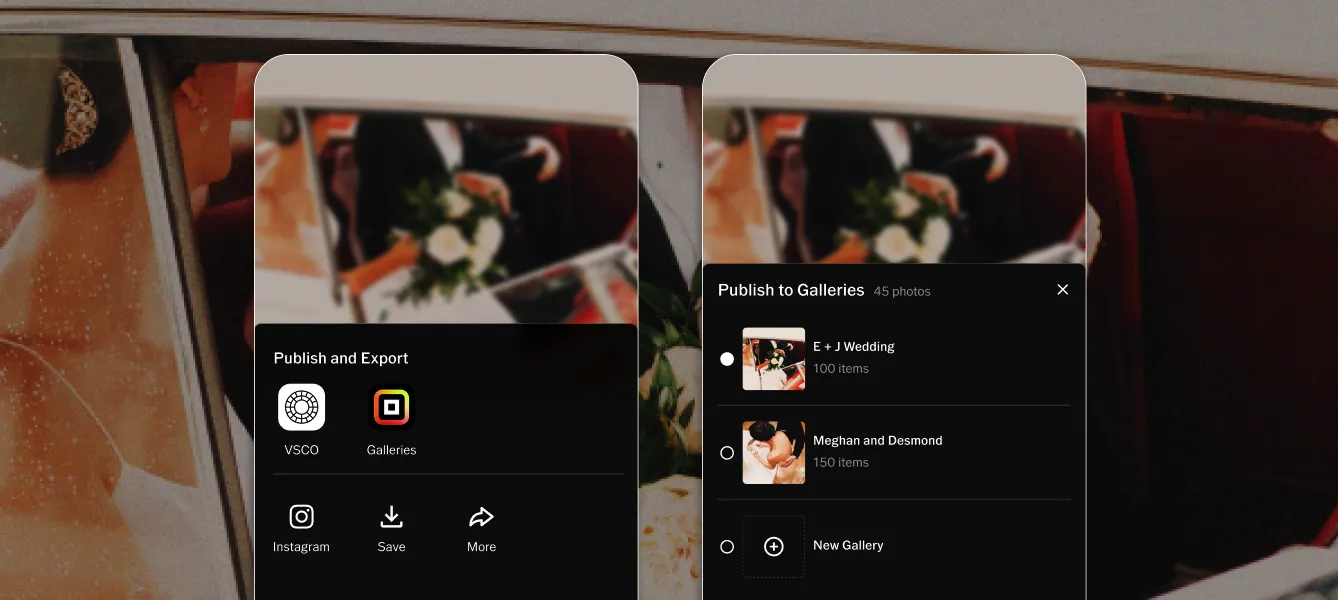 Workflow from VSCO Studio Pro export to VSCO Galleries for client delivery